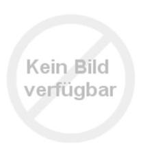 VAN-Transporter-Sommerreifen Kleber Transpro 2 215/60 R17C 109T